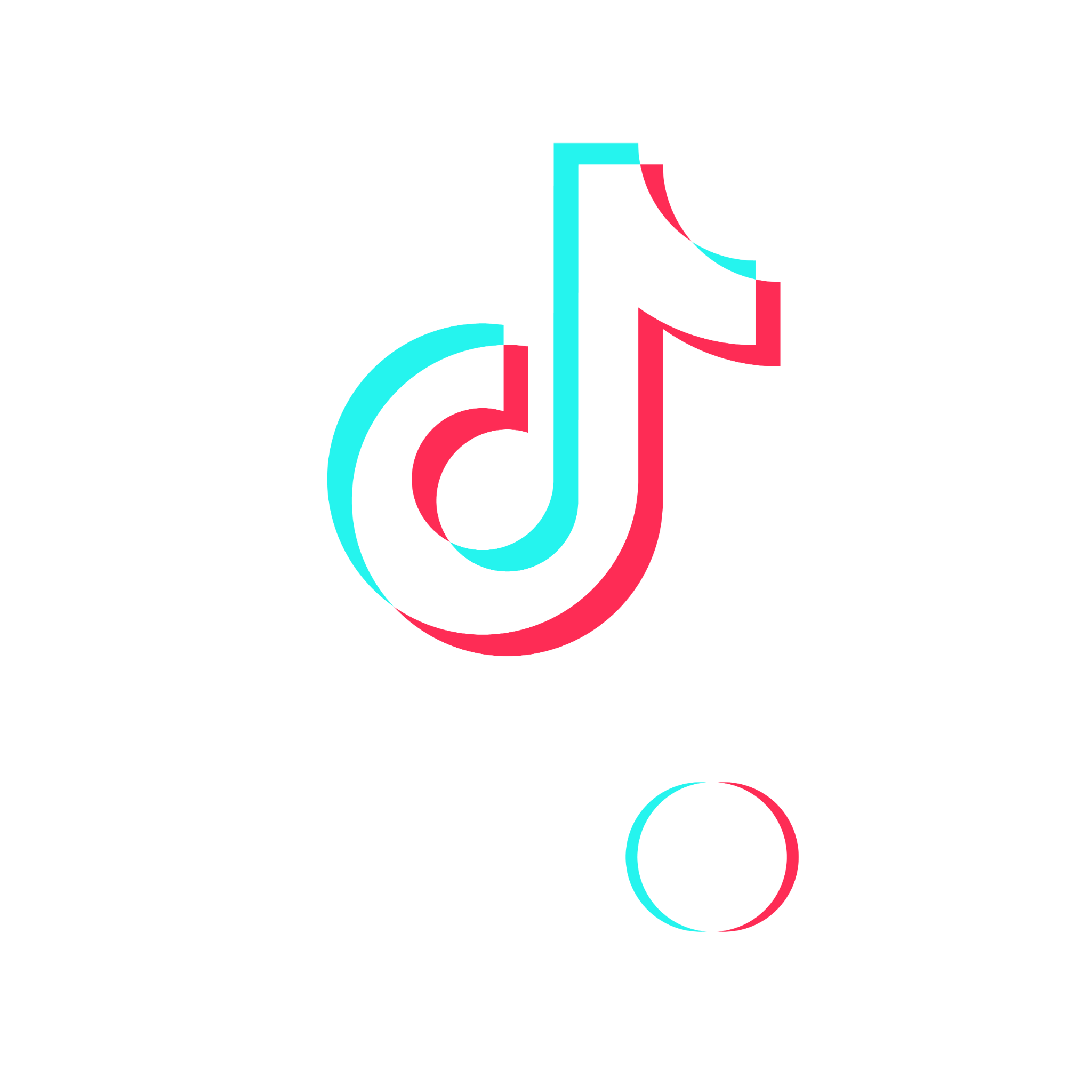 TikTok Logo